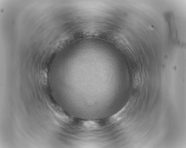 X0000088890183200706221849