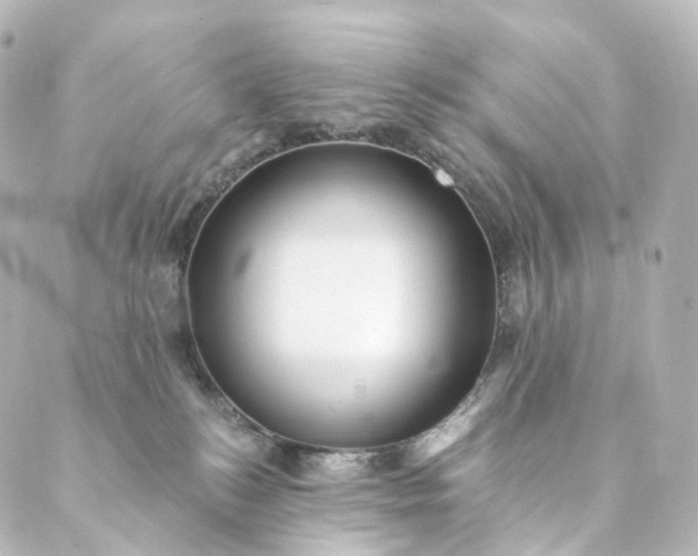 X0000088890184200706221849