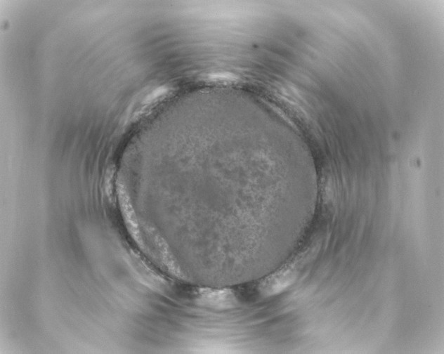 X0000088890185200706221849