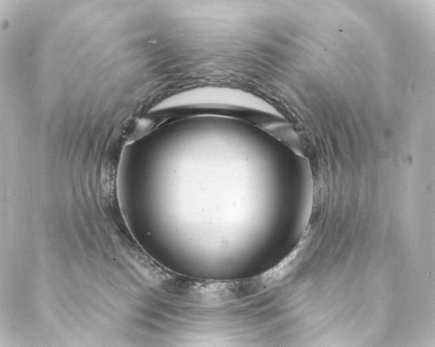 X0000088890186200706221849