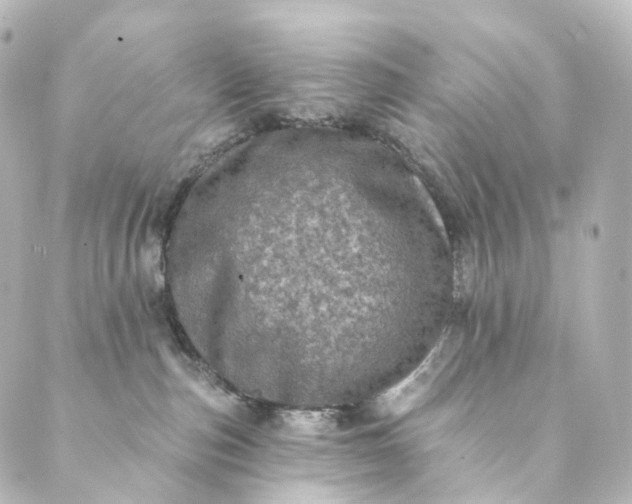 X0000088890187200706221849