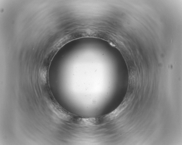 X0000088890188200706221849