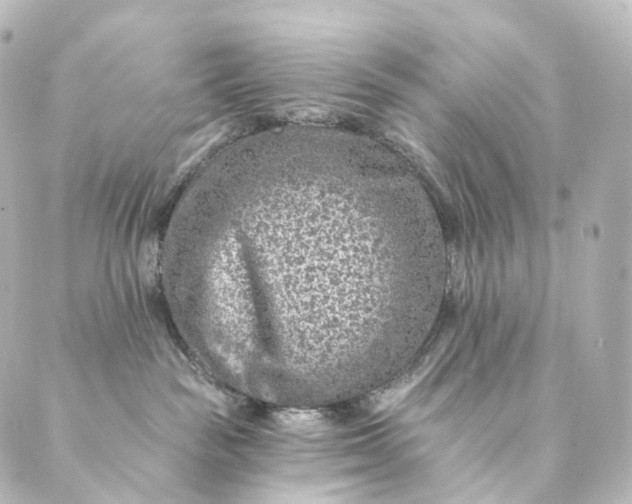 X0000088890189200706221849