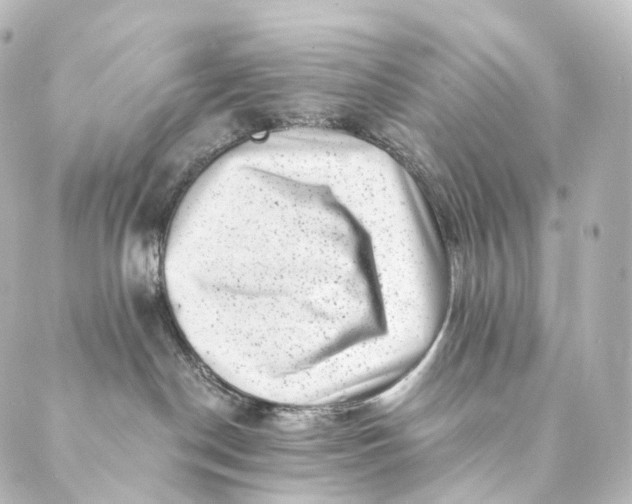 X0000088890190200706221849