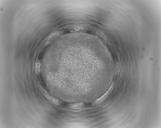 X0000088890191200706221849