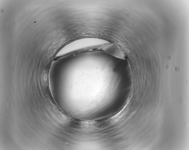 X0000088890192200706221849