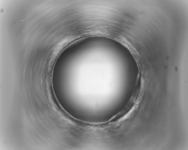 X0000088890193200706221848