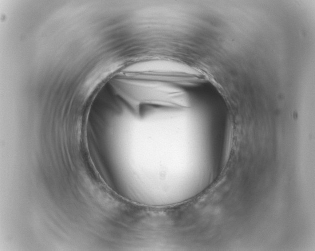 X0000088890194200706221848