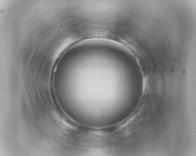 X0000088890195200706221848