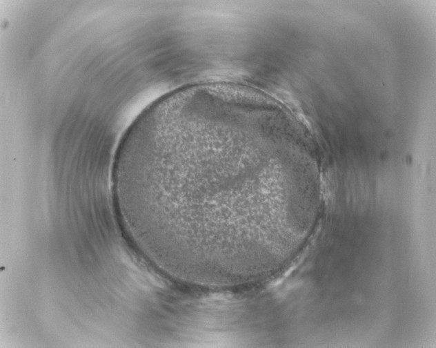 X0000088890196200706221848