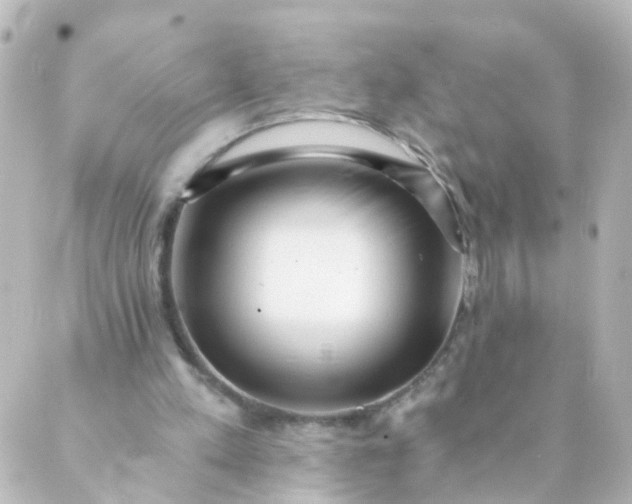 X0000088890197200706221848