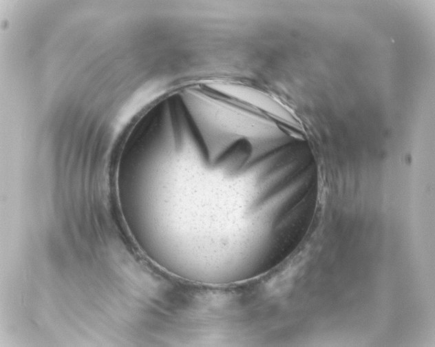 X0000088890198200706221848