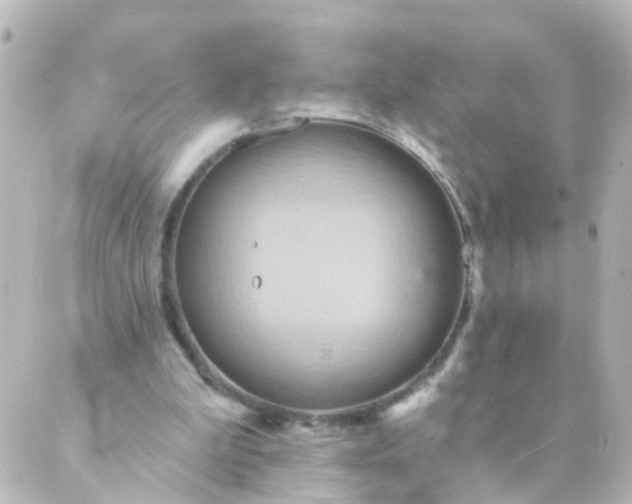 X0000088890199200706221848