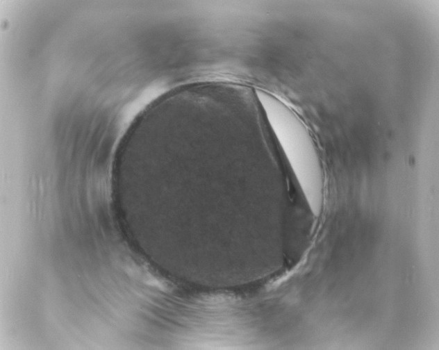 X0000088890200200706221848