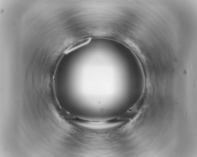 X0000088890201200706221848