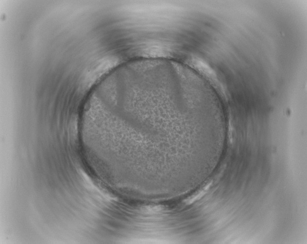 X0000088890202200706221848