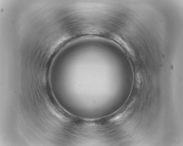 X0000088890203200706221848