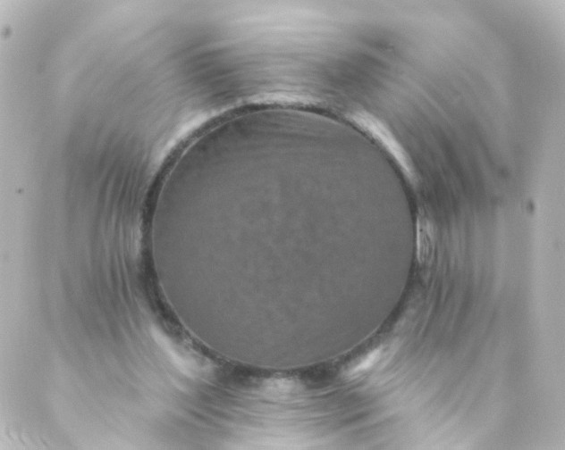 X0000088890204200706221848