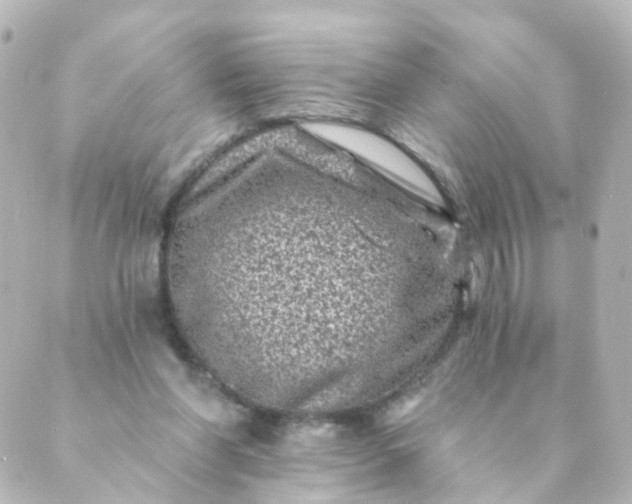 X0000088890206200706221848