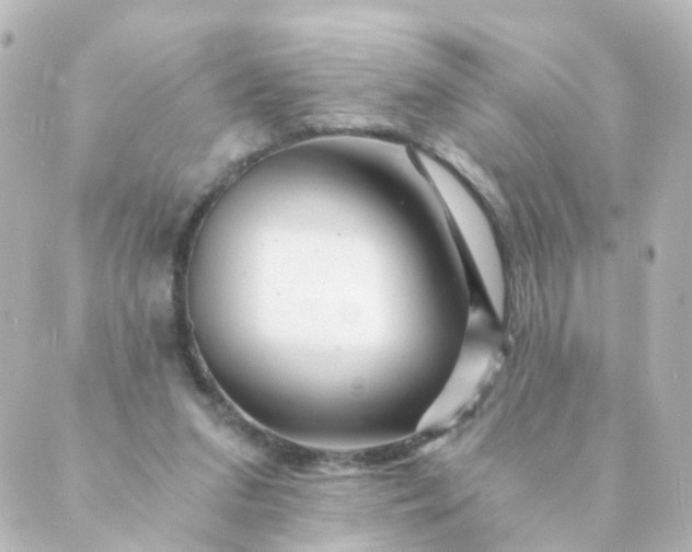 X0000088890207200706221848