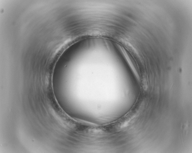 X0000088890208200706221848