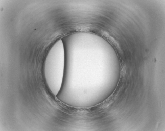 X0000088890209200706221848