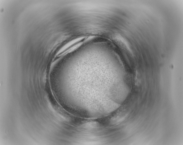 X0000088890210200706221848