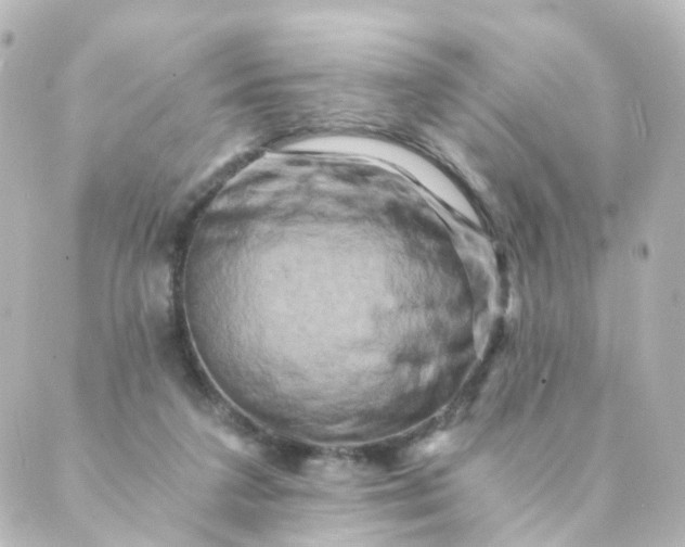 X0000088890211200706221848