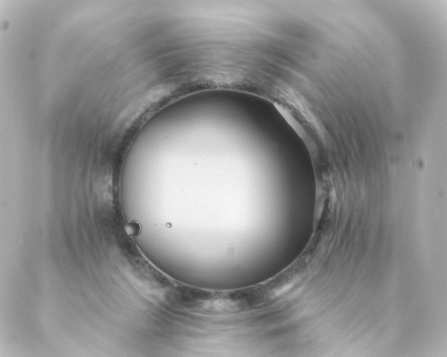 X0000088890212200706221848