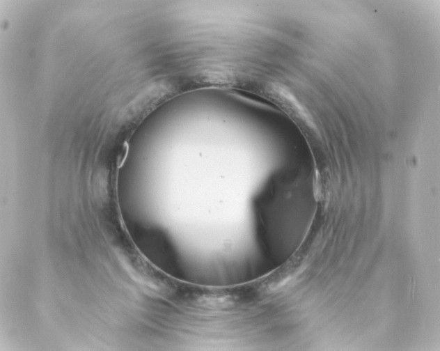 X0000088890213200706221848