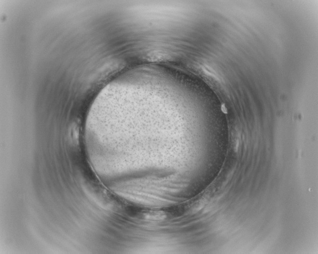 X0000088890214200706221848