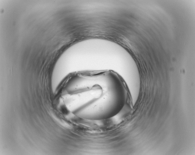 X0000088890215200706221848