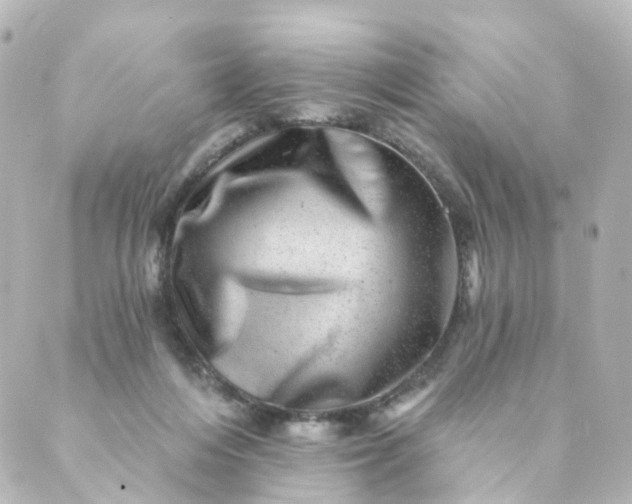 X0000088890216200706221848