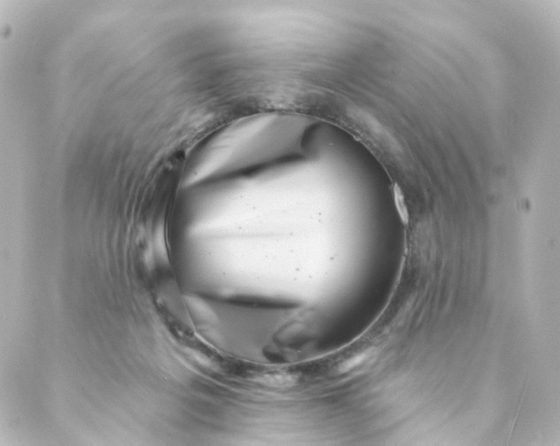 X0000088890217200706221848