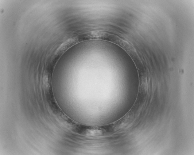 X0000088890220200706221848