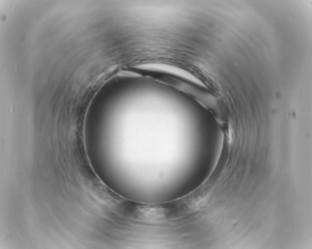 X0000088890221200706221848