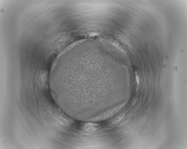 X0000088890222200706221848