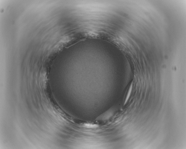 X0000088890223200706221848