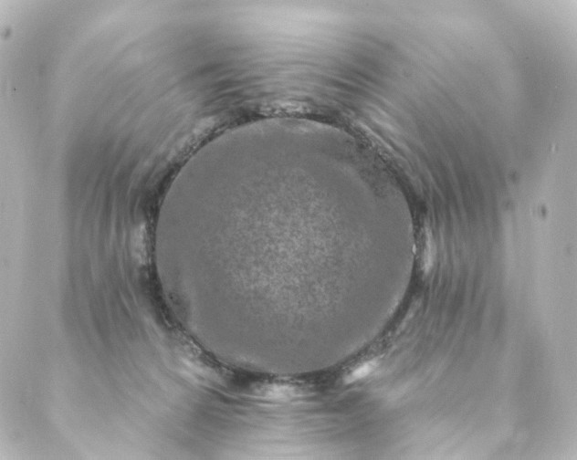 X0000088890224200706221848