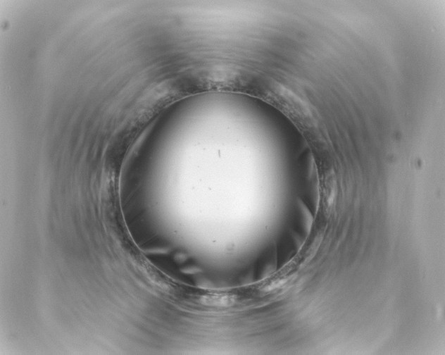 X0000088890225200706221848