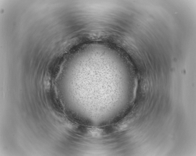 X0000088890226200706221848