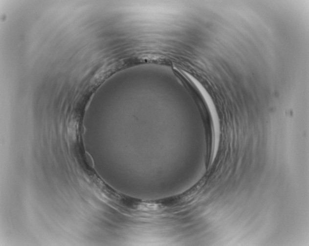 X0000088890227200706221848