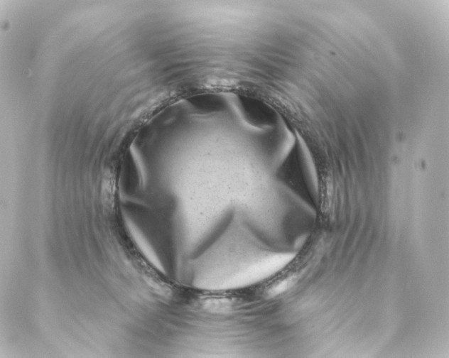 X0000088890228200706221848