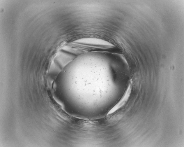 X0000088890229200706221848