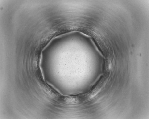 X0000088890230200706221848