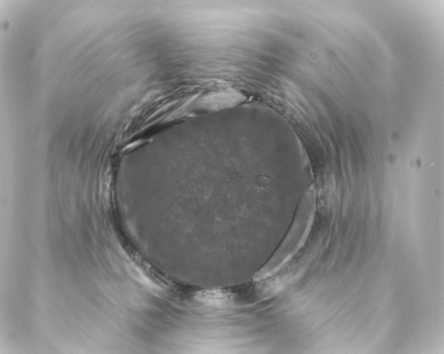 X0000088890231200706221848