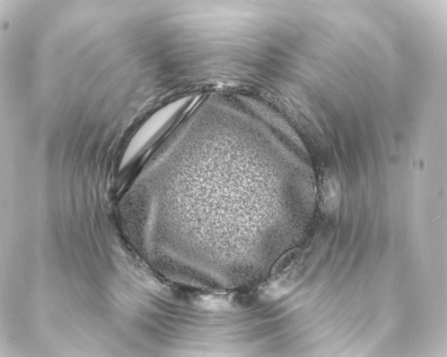 X0000088890232200706221848