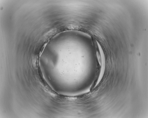 X0000088890233200706221848