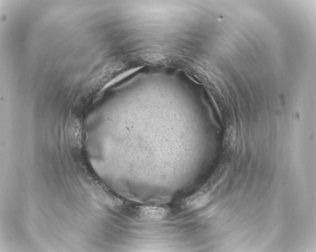 X0000088890234200706221848