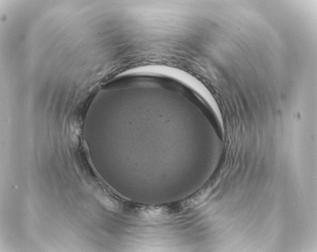 X0000088890235200706221847